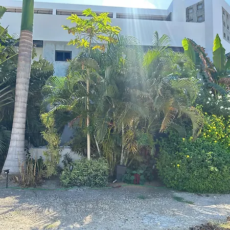 Playa De Sala Boutique Hotel (Adults Only)