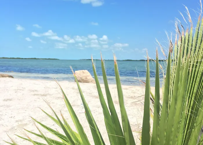 Playa De Sala Boutique (adults Only) 5* San Pedro (Ambergris Caye)